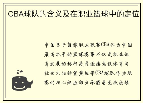 CBA球队的含义及在职业篮球中的定位