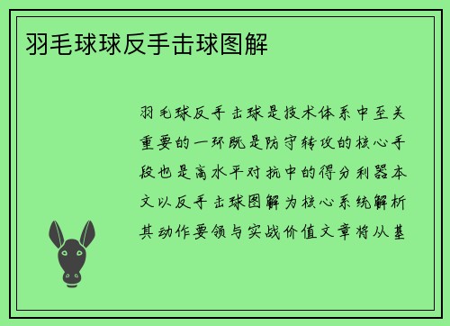 羽毛球球反手击球图解